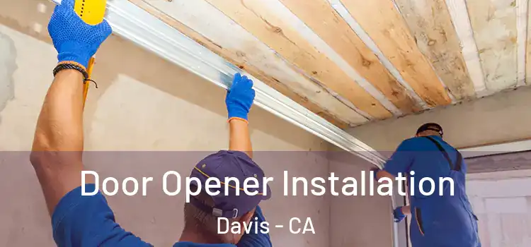  Door Opener Installation Davis - CA