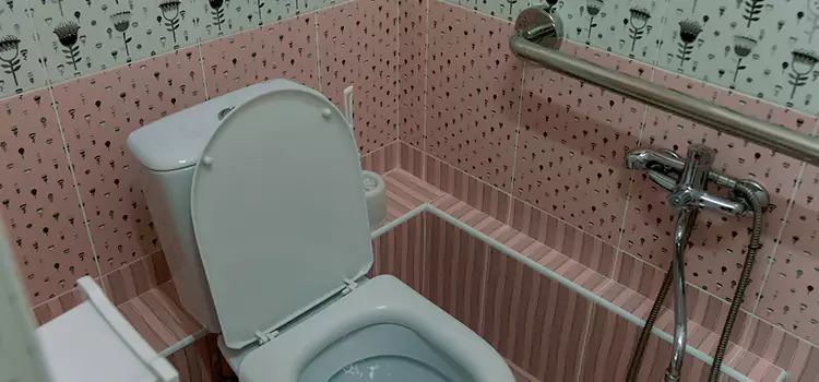Meeting Diverse Needs With Accessible Restroom Solutions in Davis, CA