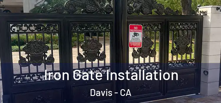  Iron Gate Installation Davis - CA