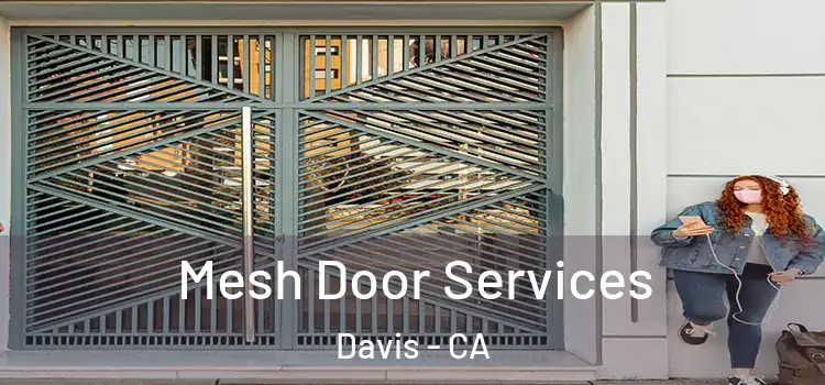  Mesh Door Services Davis - CA